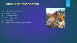 Panen dan Pascapanen
 A. Ciri dan Umur Panen
 B. Cara Panen
 C. Pengupasan
 D. Pengeringan
 E. Pemipilan
 F. Penyortiran dan Penggolongan
50
 