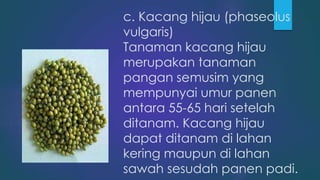 c. Kacang hijau (phaseolus
vulgaris)
Tanaman kacang hijau
merupakan tanaman
pangan semusim yang
mempunyai umur panen
antara 55-65 hari setelah
ditanam. Kacang hijau
dapat ditanam di lahan
kering maupun di lahan
sawah sesudah panen padi.
 