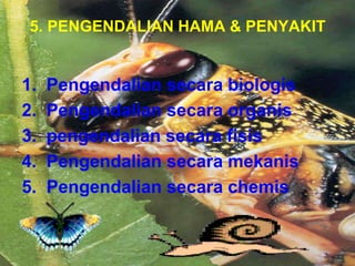 5. PENGENDALIAN HAMA & PENYAKIT
1. Pengendalian secara biologis
2. Pengendalian secara organis
3. pengendalian secara fisis
4. Pengendalian secara mekanis
5. Pengendalian secara chemis
 