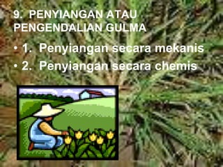9. PENYIANGAN ATAU
PENGENDALIAN GULMA
• 1. Penyiangan secara mekanis
• 2. Penyiangan secara chemis
 
