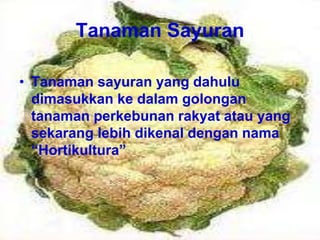 Tanaman Sayuran
• Tanaman sayuran yang dahulu
dimasukkan ke dalam golongan
tanaman perkebunan rakyat atau yang
sekarang lebih dikenal dengan nama
“Hortikultura”
 