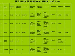 PETUNJUK PENANAMAN UNTUK LUAS 1 HA
NO
Jenis
Tanaman
Sayuran
JUMLAH
TANAMAN
(+/-)
KEBUTHAN
BENIH (KG)
PERSEMAIAN
PERSIAPAN
LAHAN
PEMBERIAN
P. KANDANG
TANAMAN
PEMUPUKAN
1
PEMUPUKAN
2
PEMUPUKAN
3
1 Cabe 30.000 0,3 – 0.5 30 HPT *)
7 HPT
dicangkul
dibedeng
5 HPT 0.5
kg per
lubang
tanaman
Jarak
tanaman :
60 x 50 cm
1 bibit per
lubang
7 HST *)
37 HST 67 HST
2 Tomat 28.000 0,2 – 0,3 21 HPT
7 HPT
dicangkul
dibedeng
5 HPT 0.5
kg per
lubang
tanaman
Jarak
tanaman :
70 x 50 cm
1 bibit per
lubang
7 HST *)
37 HST -
3 Terong 20.000 0,2 – 0,3 45 HPT
7 HPT
dicangkul
dibedeng
5 HPT 0.5
kg per
lubang
tanaman
Jarak
tanaman :
70 x 70 cm
1 bibit per
lubang
7 HST *)
37 HST 67 HST
4
Jagung
Manis
60.000 8 – 10 -
3 HPT
dicangkul
digarit
-
Jarak
tanaman :
80 x 25 cm
1 biji per
lubang
7 HST *)
30 HST
diikuti pem
bumbunan
-
5 Ketimun 80.000 2 – 3 -
7 HPT
dicangkul
dibedeng
5 HPT 0.5
kg per
lubang
tanaman
Jarak
tanaman :
60 x 40 cm
2 biji per
lubang
7 HST *)
25 HST -
 