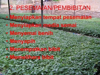 2. PESEMAIAN/PEMBIBITAN
• Menyiapkan tempat pesemaian
• Menyiapkan media semai
• Menyemai benih
• Menyapih
• Menempatkan bibit
• Memelihara bibit
 