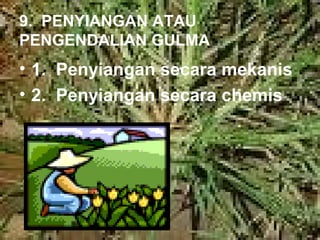 9. PENYIANGAN ATAU 
PENGENDALIAN GULMA 
• 1. Penyiangan secara mekanis 
• 2. Penyiangan secara chemis 
 
