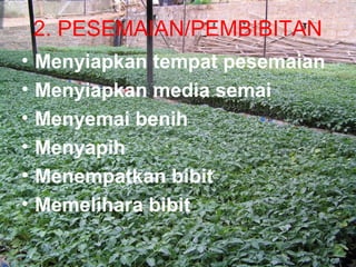 2. PESEMAIAN/PEMBIBITAN 
• Menyiapkan tempat pesemaian 
• Menyiapkan media semai 
• Menyemai benih 
• Menyapih 
• Menempatkan bibit 
• Memelihara bibit 
 