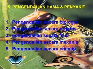 5. PENGENDALIAN HAMA & PENYAKIT 
1. Pengendalian secara biologis 
2. Pengendalian secara organis 
3. pengendalian secara fisis 
4. Pengendalian secara mekanis 
5. Pengendalian secara chemis 
 