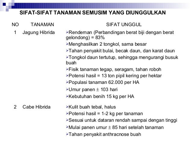 Budidaya Tanaman Semusim