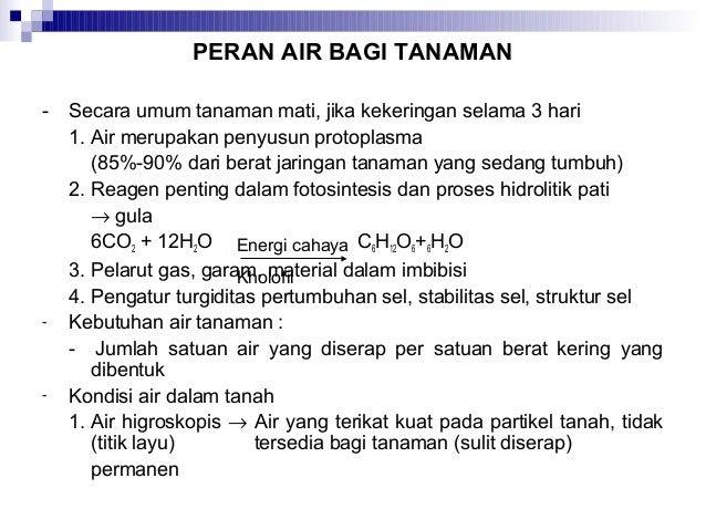 Budidaya Tanaman Semusim