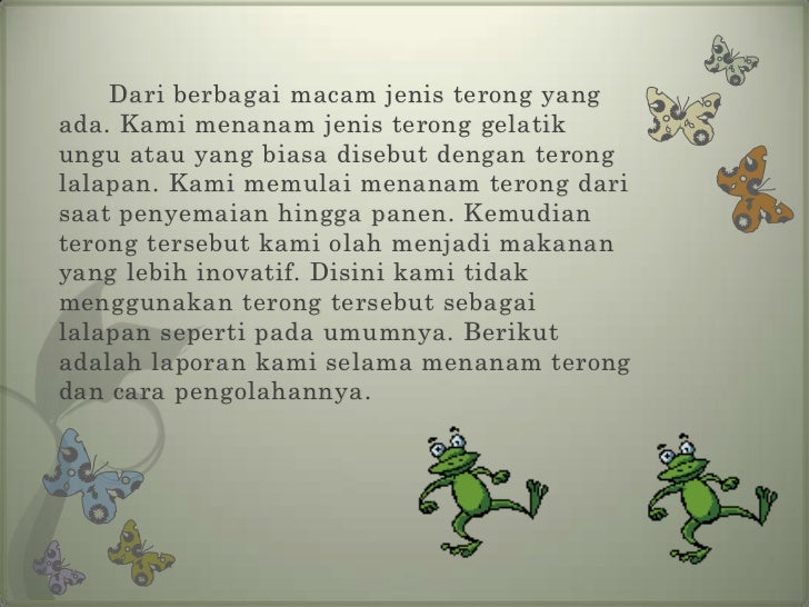 Budidaya tanaman terong Budidaya tanaman terong