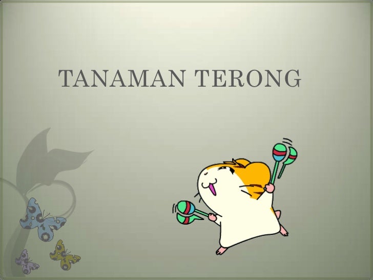 Budidaya tanaman terong Budidaya tanaman terong