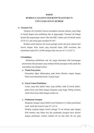 10 
BAB III 
BUDIDAYA TANAMAN TEH DI PTP NUSANTARA VI 
UNIT USAHA DANAU KEMBAR 
A. Tanaman Teh 
Tanaman teh (Camellia Sinesis) merupakan tanaman tahunan yang hidup 
di daerah dingin yaitu perbukitan dan di pegunungan. Tanaman teh diduga 
berasal dari pegunungan antara Tibet dan RRC selatan yaitu di daerah antara 
25-35o LU, dan antara garis meridian 95-105 o. 
Keadaan tanah tanaman teh secara geologis terdiri atas jenis andosol dan 
latosol dengan iklim basah yang bercurah hujan 2600 mm/tahun dan 
kelembaban udara 82% s/d 90% dengan suhu rata-rata 18 o C s/d 25 o C. 
I. Pembibitan 
Berhasilnya pembibitan stek teh sangat ditentukan oleh kematangan 
perencanaan dan persiapan yang meliputi teknik penyiapan media tanah dan 
mutu bahan stek sebagai berikut : 
a. Waktu Penyetekan 
Penyetekan dapat dilaksanakan pada bulan Oktober sampai dengan 
Maret atau bulan-bulan basah / banyak hujan. 
b. Syarat Lokasi Pembibitan 
Lokasi yang baik adalah lokasi yang terbuka, tidak di bawah pohon-pohon 
besar atau dekat dengan bangunan yang tinggi. Paling terutama 
sekali lokasi harus dekat dengan sumber air. 
c. Pembuatan Naungan 
Bangunan naungan yang kolektif yaitu berukuran 2 m diatas permukaan 
tanah. Jarak dari tiang ke tiang 2,5 x 4,5 m 
Dinding samping bagian bawah setinggi 75 cm ditutup rapat dengan 
bilik bamboo atau bahan lain dan pembuatan naungan harus disertai 
dengan pembuatan selokan sedalam 60 cm dan lebar 40 cm yang 
 
