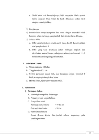 13 
c. Mulai bulan ke 6 dan selanjutnya, bibit yang sehat dibuka penuh 
tanpa sungkup. Pada bulan ke tujuh dilakukan sortasi vivit 
dengan cara dipisahkan. 
3) Penyiangan 
4) Pembersihan rumput-rumputan dan lumut dengan memakai soled 
bamboo, selain itu bunga yang tumbuh dari stek the harus dibuang. 
5) Seleksi Bibit. 
a. Bibit yang tumbuhnya setelah uur 6 bulan dipilih dan dipisahkan 
dari yang kecil-kecil. 
b. Bibit yang kecil disatukan dalam bedengan terpisah dan 
diperlukan secara khusus, selanjutnya disungkup kembali 1-1,5 
bulan untuk merangsang pertumbuhan. 
i. Bibit Siap Tanam 
a. Umur maksimal 12 bulan 
b. Tinggi minimal 25 cm 
c. System perakaran cukup baik, akar tunggang semua / minimal 2 
buah, terdapat pembengkakan halus 
d. Habitus sehat, kekar dan berdaun normal. 
II. Penanaman 
1. Persiapan Lahan 
A. Pembongkaran pohon dan tunggul 
B. Nyacar, nyasap semak belukar 
C. Pengolahan tanah 
Pencangkulan pertama = 40-60 cm 
Pencangkulan kedua = 30 cm 
D. Pembuatan drainase 
Sesuai dengan kontur dan jumlah saluran tergantung pada 
kemiringan tanah. 
 