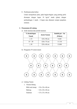 X X X X X X X 
X X X X X X 
X X X X X X X 
14 
E. Pembuatan jalan kebun 
Untuk memperkuat jalan, pada bagian-bagian yang penting perlu 
dicampur dengan kapur 18 kg/m2 tanah (jalan) dengan 
perbandingan 1 tanah : 4 kapur atau ditanami rumput paspalum 
notatum. 
2. Penanaman di Ladang 
a) Jarak tanaman dan jumlah tanaman 
% Kemiringan 
Tanah 
Jarak Tanam 
Jumlah per – ha 
(Pohon) 
≤ 15 120 x 90 cm 9.260 
15 – 30 120 x 75 cm 11.110 
≥ 30 120 x 60 cm 13.888 
b) Pengajiran  sistem tanam 
c) Lubang Tanam 
1. Ukuran lubang 
Bibit asal stump = 30 x 30 x 40 cm 
Bekong = 20 x 20 x 40 cm 
Sulaman = 35 x 35 x 40 cm 
 
