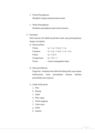 17 
2. Prinsip Pemangkasan 
Mengikuti (sejajar) pada permukaan tanah 
3. Waktu Pemangkasan 
Hindarkan pemangkasan pada musim kemarau 
C. Pemetikan 
Hasil tanaman teh adalah pucuk/daun muda yang pemungutannya 
dengan cara dipetik. 
a) Macam petikan 
P.halus = p + 1; p + 2 m; b + 1 m 
P.medium = p + 2; p + 3 m; b + 1; b + 2 m 
P.kasar = p + 3; b+2 
P.sangat kasar = p + 4; b + 3 
P.keras = hanya menigngalkan kepel. 
b) Daun pemeliharaan 
Pengertian : kumpulan daun dibawah bidang petik yang mampu 
berfotosintesa untuk pertumbuhan tanaman (aktifitas 
pertumbuhan dan respirasi). 
c) Istilah-istilah pucuk 
a. Peko 
b. Burung 
c. Kepel 
d. Peko nagog 
e. Pucuk tanggung 
f. Ceker ayam 
g. Gabar 
h. Kaboler 
 