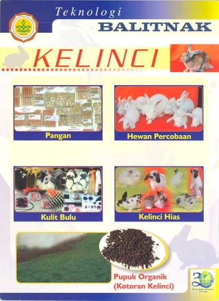 Budidaya ternak kelinci