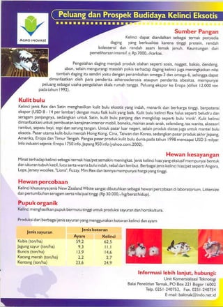 Budidaya ternak kelinci