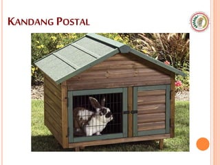 KANDANG POSTAL
 
