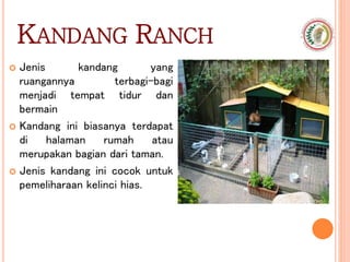 KANDANG RANCH
 Jenis kandang yang
ruangannya terbagi-bagi
menjadi tempat tidur dan
bermain
 Kandang ini biasanya terdapat
di halaman rumah atau
merupakan bagian dari taman.
 Jenis kandang ini cocok untuk
pemeliharaan kelinci hias.
 