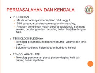 PERMASALAHAN DAN KENDALA
PERBIBITAN
 Masih terbatasnya ketersediaan bibit unggul,
 Bibit yang ada cenderung mengalami inbrending,
 Program pembibitan masih bersifat tradisional, sehingga
seleksi, persilangan dan recording belum berjalan dengan
baik.
TEKNOLOGI BUDIDAYA
 Teknologi pakan belum dipahami (nutrisi, volume dan jenis
pakan),
 Belum tersedianya kelembagaan budidaya kelinci
PENGOLAHAN HASIL
 Teknologi pengolahan pasca panen (daging, kulit dan
pupuk) belum dipahami
 