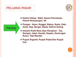 PELUANG PASAR
Peluang
Kelinci Hidup : Bibit, Hewan Percobaan,
Hewan Kesayangan, dll.
Pangan : Abon, Nugget, Bakso, Sosis, Sate,
Gulai, Sop, Burger, Steak, Kelinci Guling
Industri Kulit/ Bulu Atau Kerajinan : Tas,
Dompet, Jaket, Sandal, Sepatu, Gantungan
Kunci, Topi Boneka
Pupuk Organik: Pupuk Padat Dan Pupuk
Cair
 
