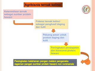 Agribisnis ternak kelinci
Ketersediaan ternak
sebagai sumber protein
hewani
Potensi ternak kelinci
sebagai penghasil daging
dan kulit
Peluang pasar untuk
produk daging dan
kulit
Peningkatan pendapatan
dan konsumsi protein
hewani
 