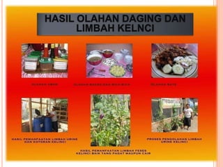 HASIL OLAHAN DAGING DAN
LIMBAH KELNCI
 
