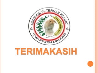 TERIMAKASIH
 