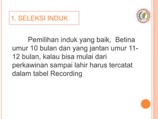 1. SELEKSI INDUK
Pemilihan induk yang baik, Betina
umur 10 bulan dan yang jantan umur 11-
12 bulan, kalau bisa mulai dari
perkawinan sampai lahir harus tercatat
dalam tabel Recording
 