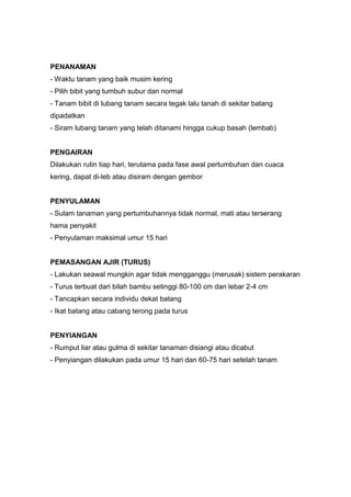 PENANAMAN
- Waktu tanam yang baik musim kering
- Pilih bibit yang tumbuh subur dan normal
- Tanam bibit di lubang tanam secara tegak lalu tanah di sekitar batang
dipadatkan
- Siram lubang tanam yang telah ditanami hingga cukup basah (lembab)
PENGAIRAN
Dilakukan rutin tiap hari, terutama pada fase awal pertumbuhan dan cuaca
kering, dapat di-leb atau disiram dengan gembor
PENYULAMAN
- Sulam tanaman yang pertumbuhannya tidak normal, mati atau terserang
hama penyakit
- Penyulaman maksimal umur 15 hari
PEMASANGAN AJIR (TURUS)
- Lakukan seawal mungkin agar tidak mengganggu (merusak) sistem perakaran
- Turus terbuat dari bilah bambu setinggi 80-100 cm dan lebar 2-4 cm
- Tancapkan secara individu dekat batang
- Ikat batang atau cabang terong pada turus
PENYIANGAN
- Rumput liar atau gulma di sekitar tanaman disiangi atau dicabut
- Penyiangan dilakukan pada umur 15 hari dan 60-75 hari setelah tanam
 