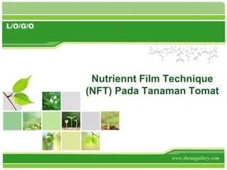 L/O/G/O
Nutriennt Film Technique
(NFT) Pada Tanaman Tomat
www.themegallery.com
 