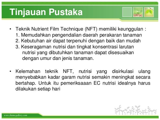 Budidaya tomat pada greenhouse imenggunakani itekniki inutrienti Budidaya tomat pada greenhouse imenggunakani itekniki inutrienti