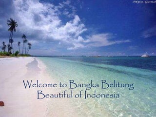 Budi Riyanto Semarang 1
Welcome to Bangka Belitung
Beautiful of Indonesia
 