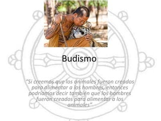 Budismo
“Si creemos que los animales fueron creados
para alimentar a los hombres, entonces
podríamos decir también que los hombres
fueron creados para alimentar a los
animales”

 