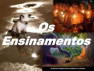 Os
Ensinamentos
 