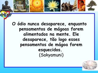 O ódio nunca desaparece, enquanto
pensamentos de mágoas forem
alimentados na mente. Ele
desaparece, tão logo esses
pensamentos de mágoa forem
esquecidos.
(Sakyamuni)
 