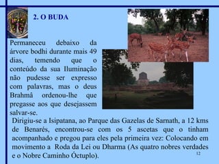 2. O BUDA Permaneceu debaixo da árvore bodhi durante mais 49 dias, temendo que o conteúdo da sua Iluminação não pudesse ser expresso com palavras, mas o deus Brahmâ ordenou-lhe que pregasse aos que desejassem salvar-se. Dirigiu-se a Isipatana, ao Parque das Gazelas de Sarnath, a 12 kms de Benarés, encontrou-se com os 5 ascetas que o tinham acompanhado e pregou para eles pela primeira vez: Colocando em movimento a  Roda da Lei ou Dharma (As quatro nobres verdades e o Nobre Caminho Óctuplo). 