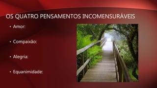 OS QUATRO PENSAMENTOS INCOMENSURÁVEIS
• Amor:
• Compaixão:
• Alegria:
• Equanimidade:
 