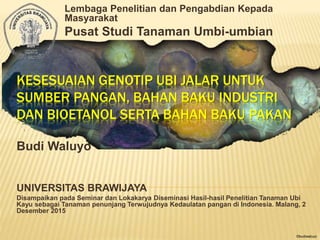 ©budiwaluyo
KESESUAIAN GENOTIP UBI JALAR UNTUK
SUMBER PANGAN, BAHAN BAKU INDUSTRI
DAN BIOETANOL SERTA BAHAN BAKU PAKAN
Budi Waluyo
UNIVERSITAS BRAWIJAYA
Disampaikan pada Seminar dan Lokakarya Diseminasi Hasil-hasil Penelitian Tanaman Ubi
Kayu sebagai Tanaman penunjang Terwujudnya Kedaulatan pangan di Indonesia. Malang, 2
Desember 2015
Lembaga Penelitian dan Pengabdian Kepada
Masyarakat
Pusat Studi Tanaman Umbi-umbian
 