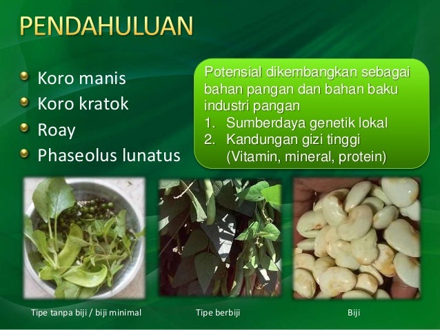 Keragaman Karakteristik Fisik Biji Koro Manis (Phaseolus lunatus L.)