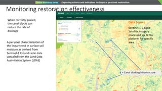 = Canal blocking infrastructure
When correctly placed,
the canal blocks can
reduce the rate of
drainage
Data Source
Sentinel 1-C Band
Satellite imagery
processed via SEPAL
platform for specific
areaA per-pixel characterization of
the linear trend in surface soil
moisture as derived from
Sentinel-1 C-band radar data
upscaled from the Land Data
Assimilation System (LDAS)
Monitoring restoration effectiveness
 