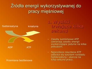 Źródła energii wykorzystywanej do
pracy mięśniowej
1. Wysiłki
fosfokreatyna

trwające kilka
sekund

kreatyna

-

-

ADP

Zasoby komórkowe ATP
zawierają zasoby energii
wystarczające jedynie na kilka
pobudzeń.
Najszybsza resynteza ATP
odbywa się kosztem rozkładu
fosfokreatyny i starcza na
kilka sekund pracy.

ATP

Przemiana beztlenowa

 