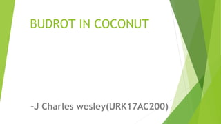 BUDROT IN COCONUT
-J Charles wesley(URK17AC200)
 