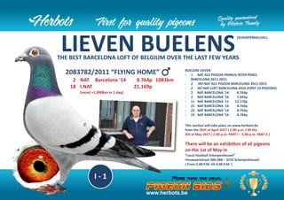 This auction will take place on www.herbots.be
from the 26th of April 2017 ( 2.00 p.m. ) till the
4th of May 2017 ( 2.00 p.m. PART I – 3.00 p.m. PART II )
There will be an exhibition of all pigeons
on the 1st of May in
“Local Football Scherpenheuvel”
Houwaartstraat 286-288 – 3270 Scherpenheuvel
( From 2.00 P.M. till 4.00 P.M. )
LIEVEN BUELENSTHE BEST BARCELONA LOFT OF BELGIUM OVER THE LAST FEW YEARS
(SCHERPENHEUVEL)
2083782/2011 “FLYING HOME”
2 NAT Barcelona ’14 8.764p 1083km
18 I.NAT 21.169p
(raced +1.000km in 1 day)
BUELENS LIEVEN
- 1 NAT ACE PIGEON PRIMUS INTER PARES
BARCELONA 2011-2015
- 2 INT.NAT ACE PIGEON BARCELONA 2011-2015
- 2 INT.NAT LOFT BARCELONA 2016 (FIRST 10 PIGEONS)
- 2 NAT BARCELONA ’14 8.764p
- 2 NAT BARCELONA ’16 7.693p
- 11 NAT BARCELONA ’11 12.170p
- 21 NAT BARCELONA ’14 8.764p
- 22 NAT BARCELONA ’14 8.764p
- 23 NAT BARCELONA ’14 8.764p
I - 1
www.herbots.be
 