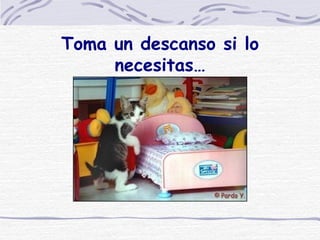 Toma un descanso si lo necesitas… 