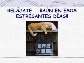 RELÁJATE... ¡¡AÚN EN ESOS ESTRESANTES DÍAS!! 