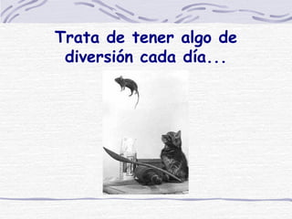 Trata de tener algo de diversión cada día... 