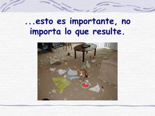 ...esto es importante, no importa lo que resulte. 