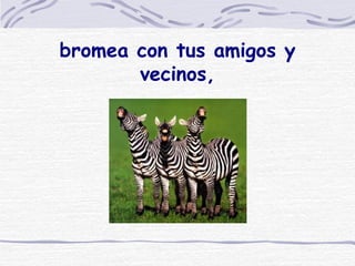 bromea con tus amigos y vecinos, 