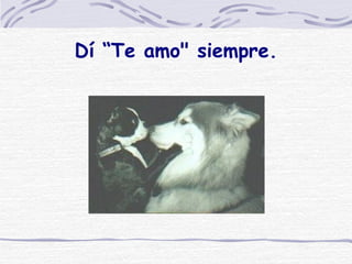 Dí “Te amo" siempre. 