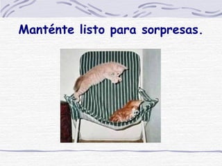 Manténte listo para sorpresas. 